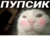 ПУПСИК