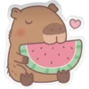 capibara 18