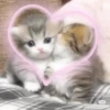 🐶•🐈Parejitas🐈•🐶 (sticker.fan) 16