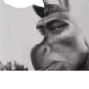 Uwu 30