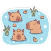 capibara 19