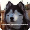 PhMqIhH_by_achestickbot 6