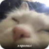 PhMqIhH_by_achestickbot 7