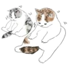 Gatitos💞11🇵🇪Clásica 5