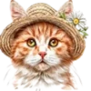 Gatitos💞12🇵🇪Clásica 6