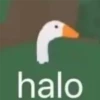 😎Patos con estilo💪 6