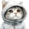 Gatitos💞12🇵🇪Clásica 7
