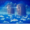 🪐; 7