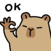 Capybara - Every Day Office 6