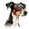 Perritos bonitos💞7🇵🇪Clásica 9