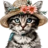 Gatitos💞12🇵🇪Clásica 9
