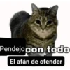Pendejo con todo El afán de ofender
