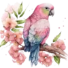 Aves💞1🇵🇪Clásica 7