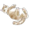 Gatitos💞11🇵🇪Clásica 8