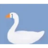 😎Patos con estilo💪 8