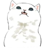 Gatitos💞11🇵🇪Clásica 9