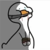 😎Patos con estilo💪 9