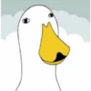 😎Patos con estilo💪 10
