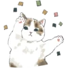 Gatitos💞11🇵🇪Clásica 10