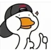 😎Patos con estilo💪 11