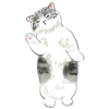 Gatitos💞11🇵🇪Clásica 11