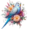 Aves💞1🇵🇪Clásica 12