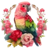 Aves💞1🇵🇪Clásica 13