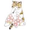 Gatitos💞11🇵🇪Clásica 13