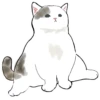 Gatitos💞11🇵🇪Clásica 14