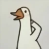 😎Patos con estilo💪 17