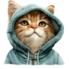 Gatitos💞12🇵🇪Clásica 12