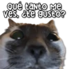 Qué tanto Mе ves, ¿te gusto?