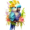 Aves💞1🇵🇪Clásica 17