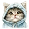 Gatitos💞12🇵🇪Clásica 13