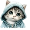 Gatitos💞12🇵🇪Clásica 14