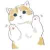 Gatitos💞11🇵🇪Clásica 16