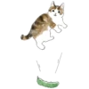 Gatitos💞11🇵🇪Clásica 17