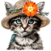 Gatitos💞12🇵🇪Clásica 15