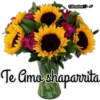 😍Te Amo Aytana VM,2024 😍 17