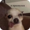PhMqIhH_by_achestickbot 22