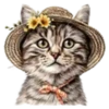 Gatitos💞12🇵🇪Clásica 16