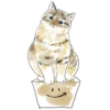 Gatitos💞11🇵🇪Clásica 18