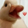 😎Patos con estilo💪 22
