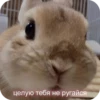 PhMqIhH_by_achestickbot 24