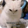 PhMqIhH_by_achestickbot 25
