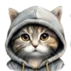 Gatitos💞12🇵🇪Clásica 18