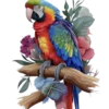 Aves💞1🇵🇪Clásica 21