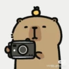 Capybara - Every Day Office 20