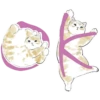 Gatitos💞11🇵🇪Clásica 20