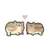 phRoGs 3 🐸 20